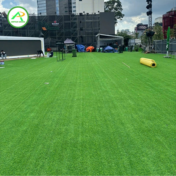 cỏ nhân tạo cho studio chụp hình