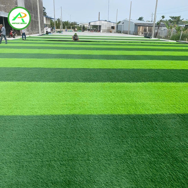 cỏ nhân tạo loại nào tốt nhất