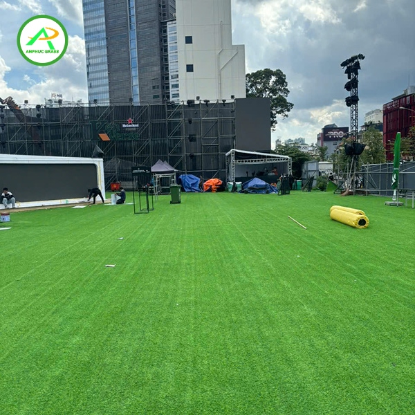 cỏ nhân tạo loại nào tốt nhất