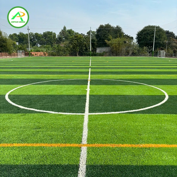 cỏ nhân tạo sân bóng giá rẻ
