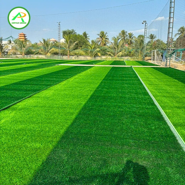 cỏ nhân tạo sân bóng giá rẻ