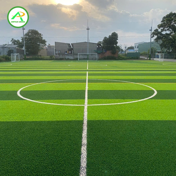 cỏ nhân tạo sân bóng giá rẻ