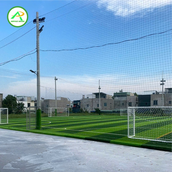 cỏ nhân tạo sân bóng giá rẻ