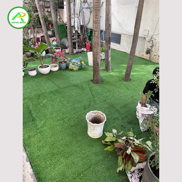 cỏ nhân tạo trang trí nội thất