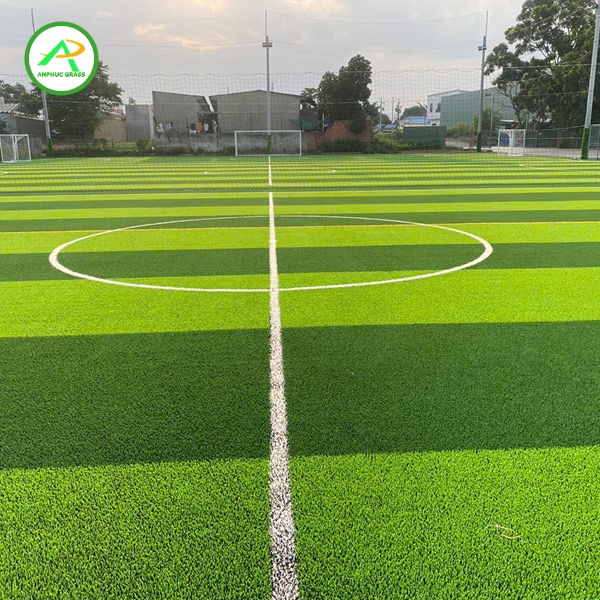 phân loại cỏ nhân tạo theo độ dày