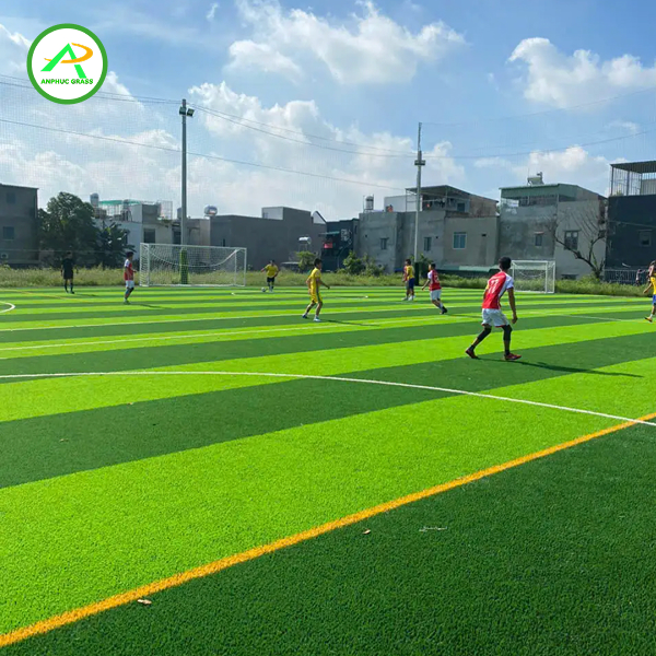 sân cỏ nhân tạo 5 người