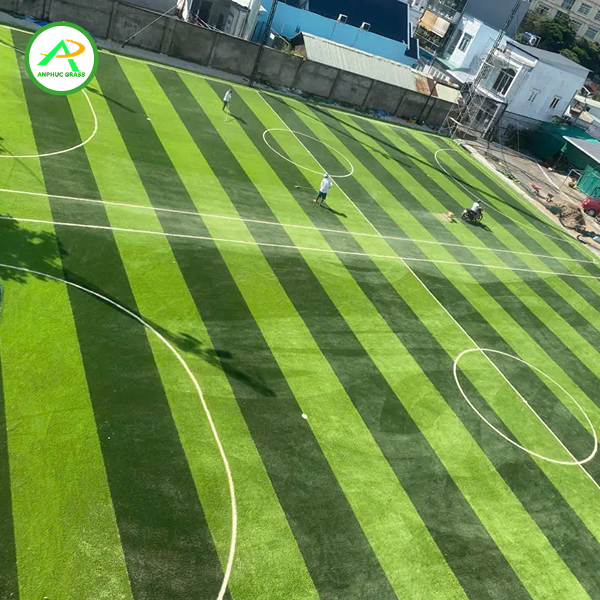 cỏ nhân tạo làm mô hình