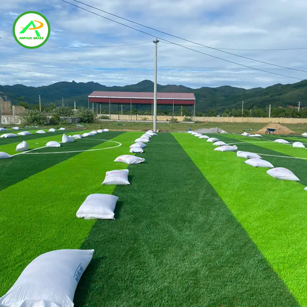 sân cỏ nhân tạo 5 người