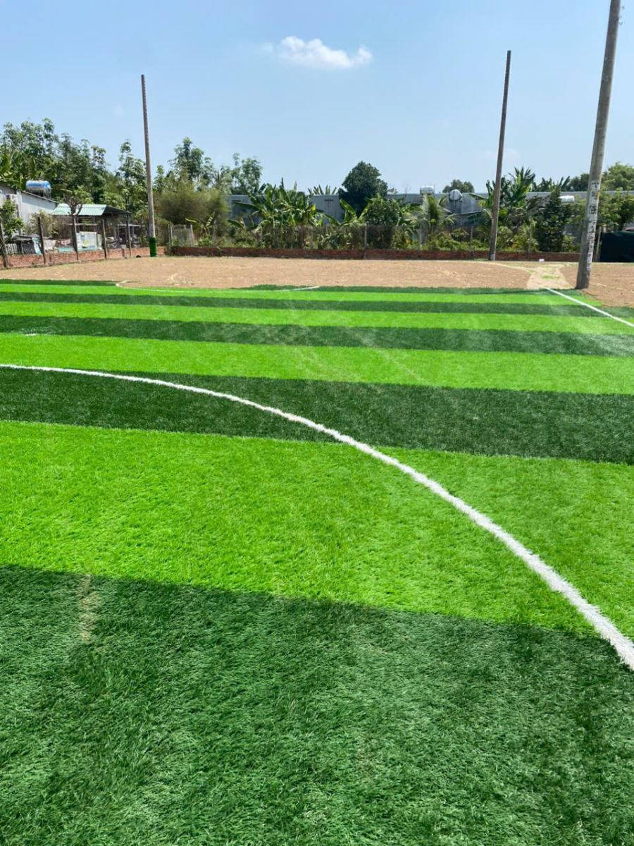 Công trình cỏ nhân tạo hoàn thiện